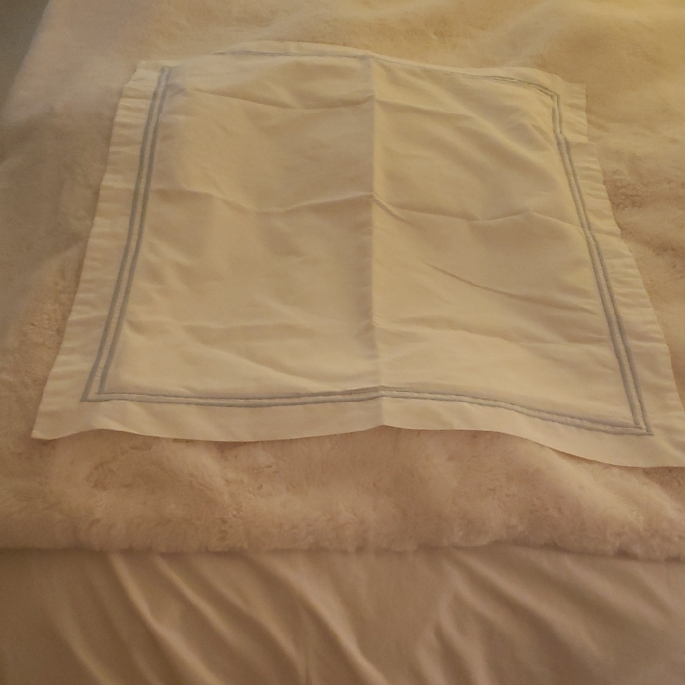 Classic White Pillow Sham with Light Blue Border - Preloved